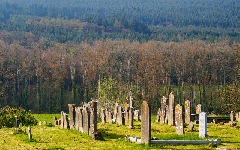 The old graveyard in, Kilsheelan, with the Comeragh foothills in the background, 2019, by Alan Grant. See the full size image here. 