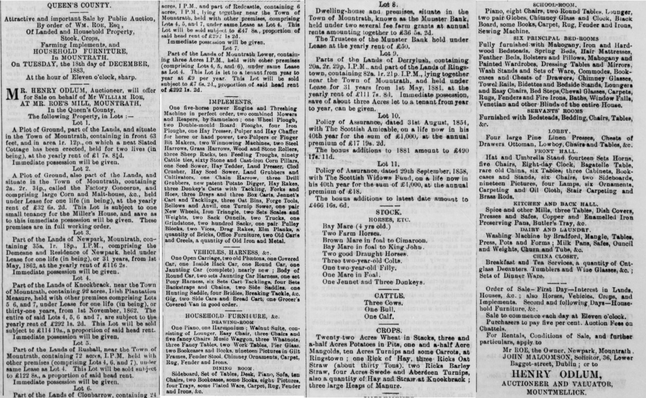 1883, Roe Sale, Leinster Express - 8 December